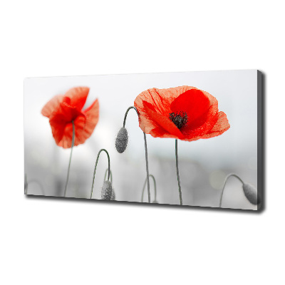 Canvas wall art Macs