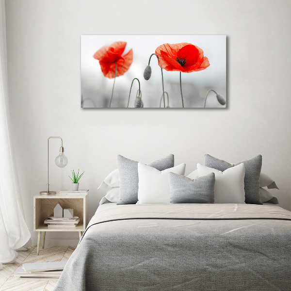 Canvas wall art Macs