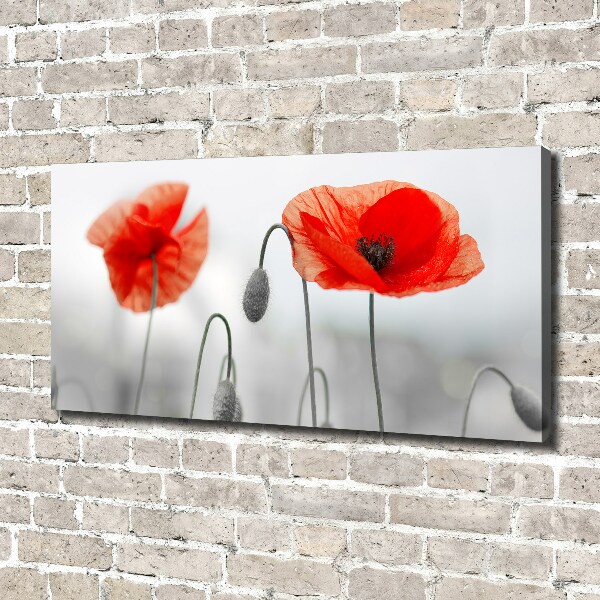 Canvas wall art Macs