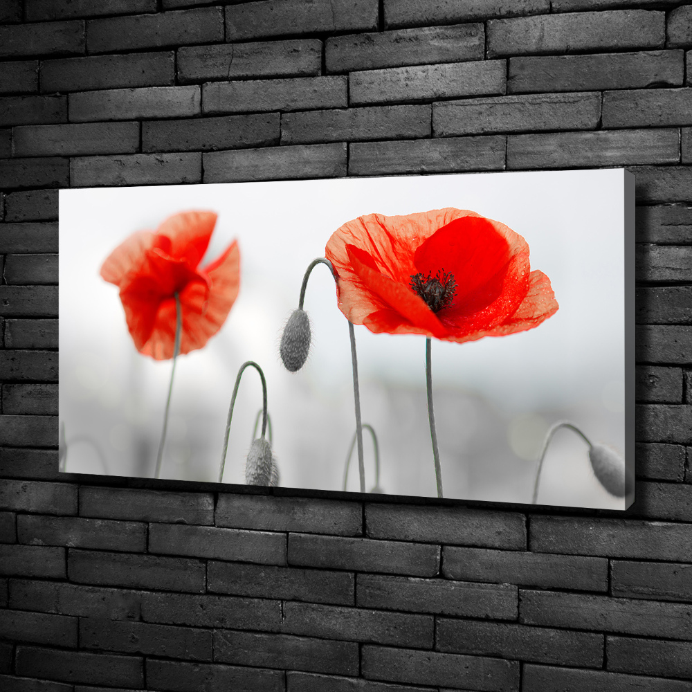 Canvas wall art Macs