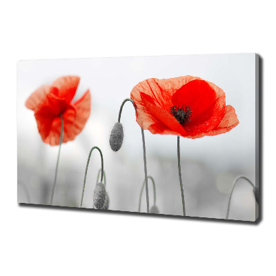 Canvas wall art Macs