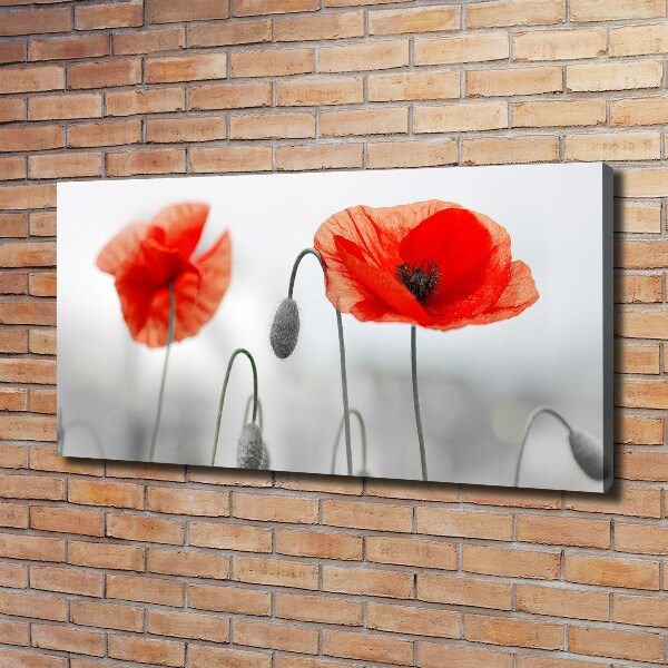 Canvas wall art Macs