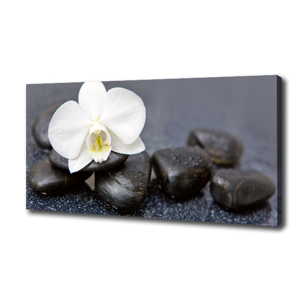 Canvas wall art Orchid