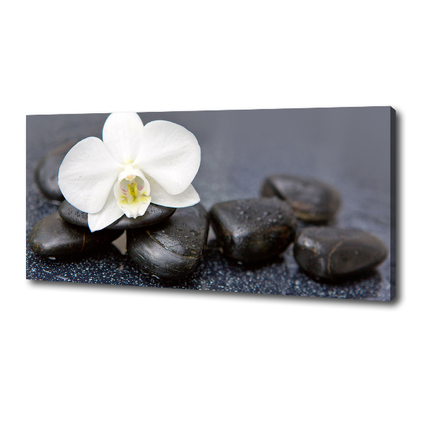 Canvas wall art Orchid