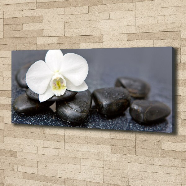 Canvas wall art Orchid