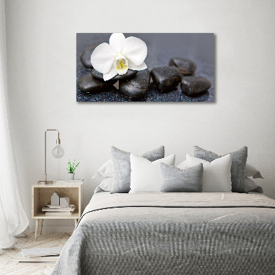 Canvas wall art Orchid