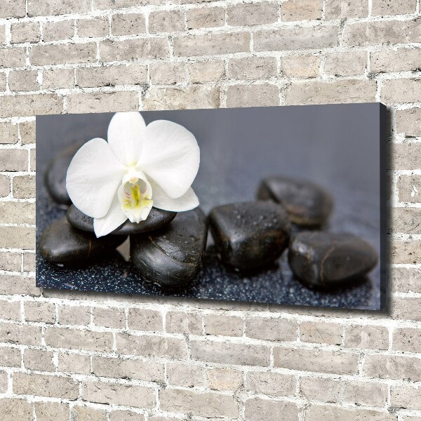 Canvas wall art Orchid