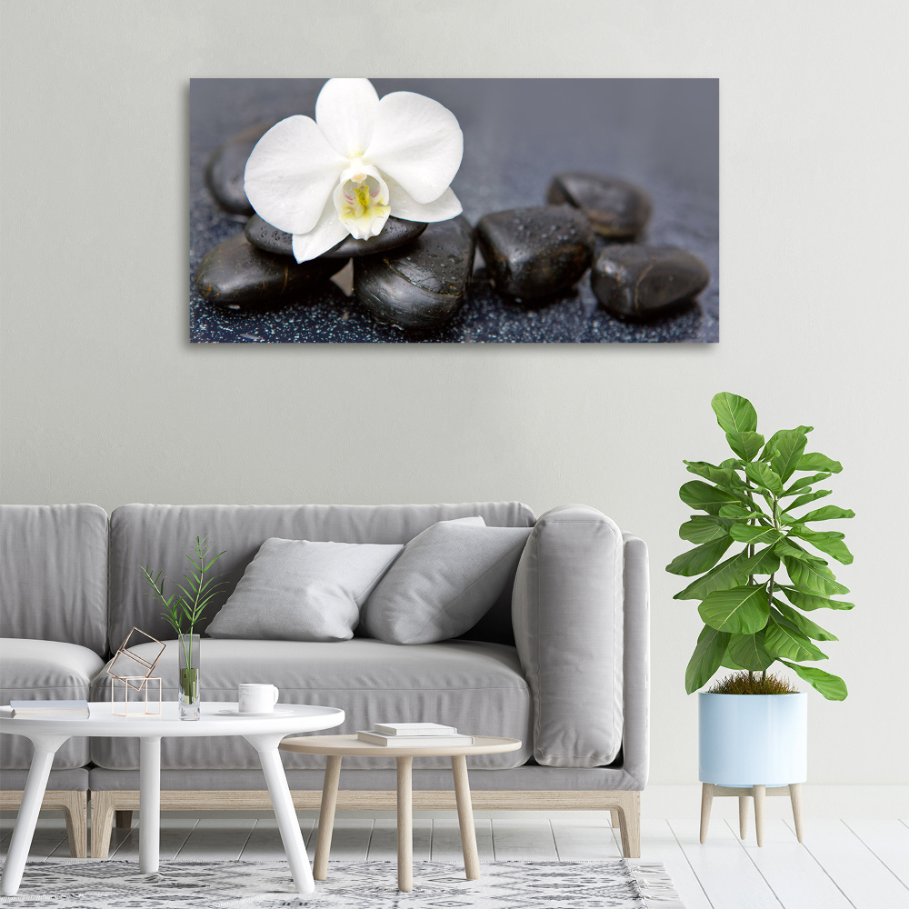 Canvas wall art Orchid