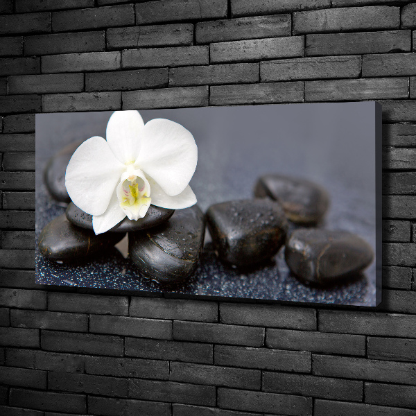 Canvas wall art Orchid