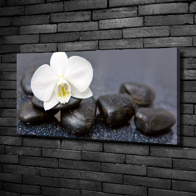 Canvas wall art Orchid