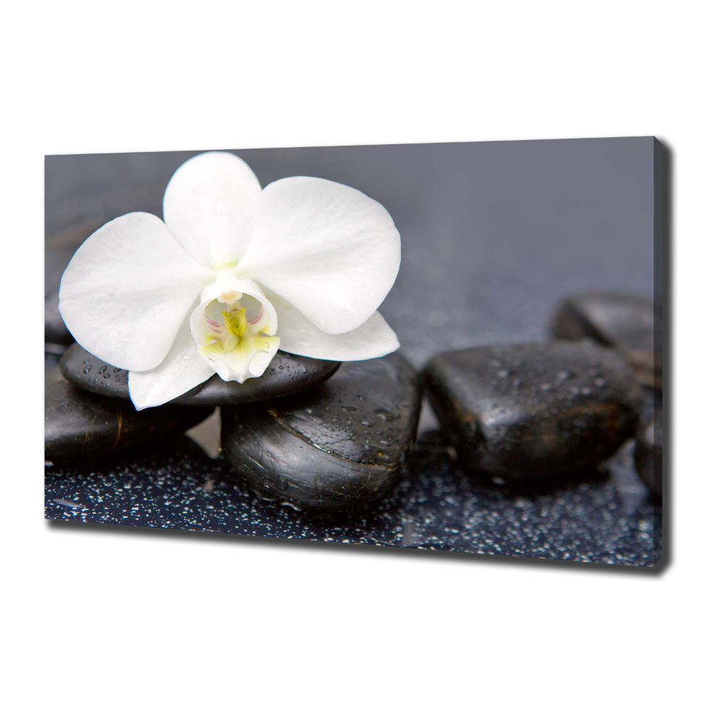 Canvas wall art Orchid