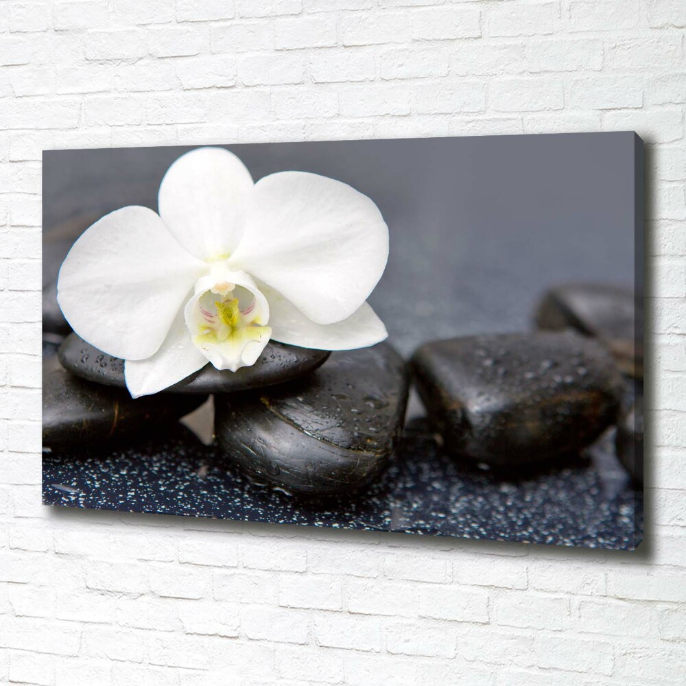 Canvas wall art Orchid