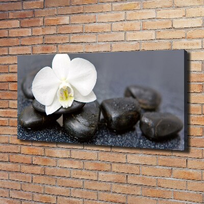 Canvas wall art Orchid