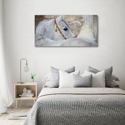 Large canvas wall art White Arabian horse