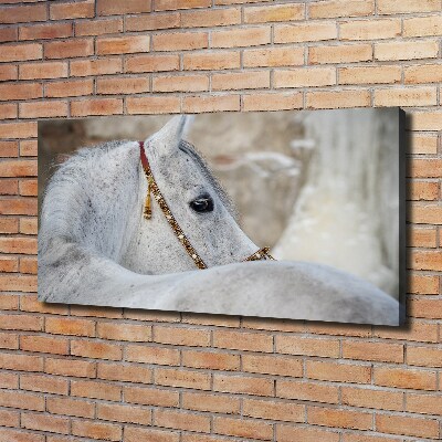 Large canvas wall art White Arabian horse