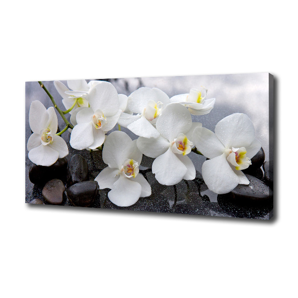 Canvas wall art Orchid