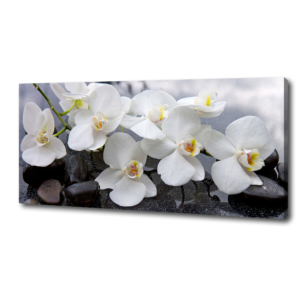 Canvas wall art Orchid