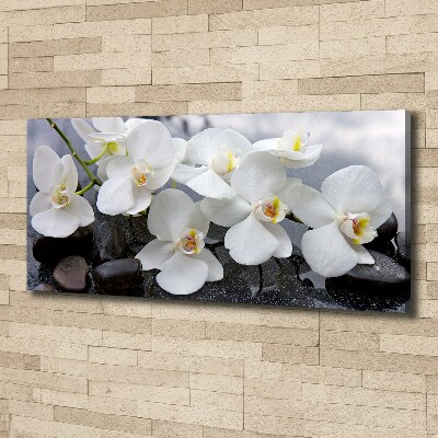 Canvas wall art Orchid