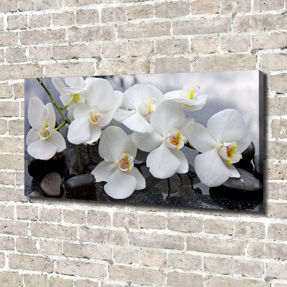 Canvas wall art Orchid