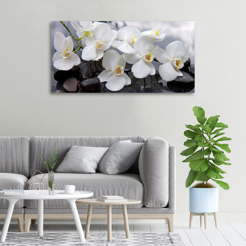 Canvas wall art Orchid