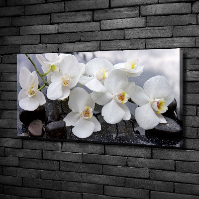 Canvas wall art Orchid