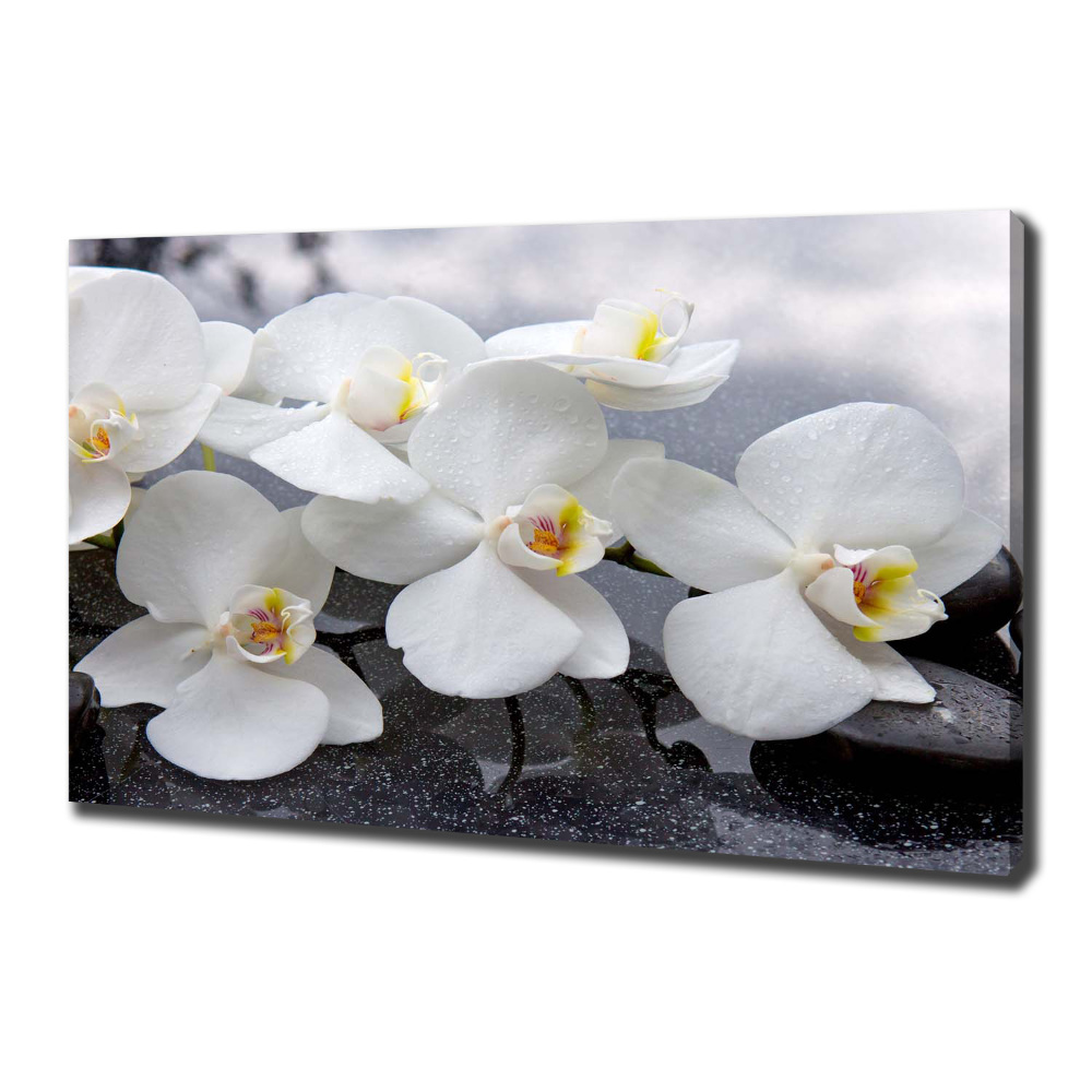 Canvas wall art Orchid