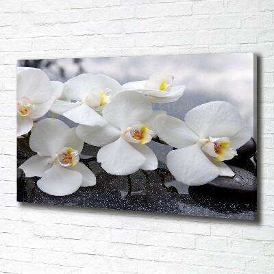 Canvas wall art Orchid