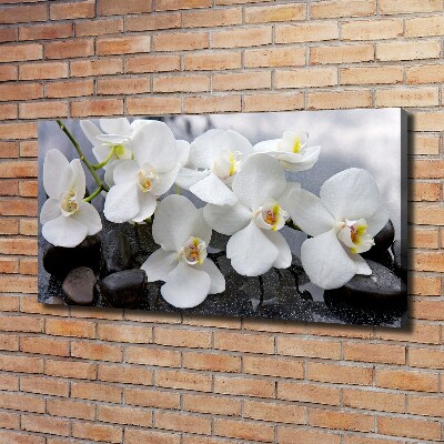 Canvas wall art Orchid