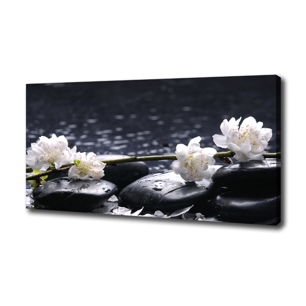 Canvas wall art Cherry Blossom