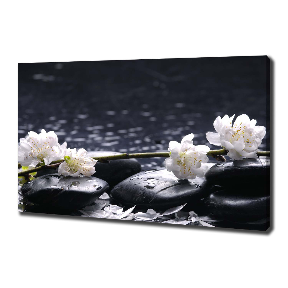 Canvas wall art Cherry Blossom