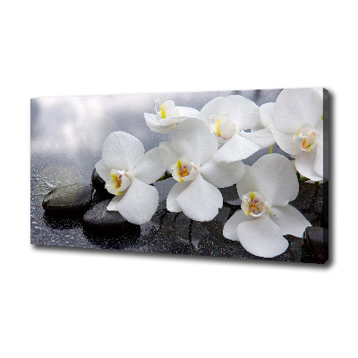 Canvas wall art Orchid