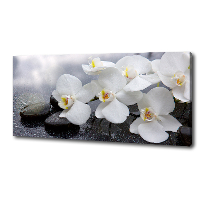 Canvas wall art Orchid