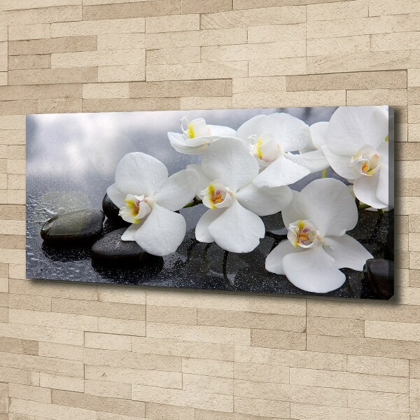 Canvas wall art Orchid