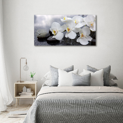 Canvas wall art Orchid