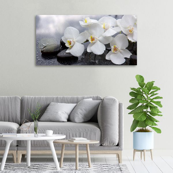 Canvas wall art Orchid