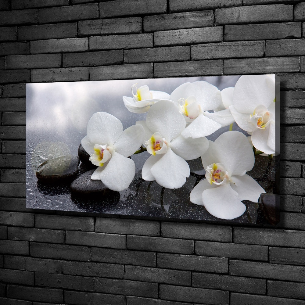 Canvas wall art Orchid