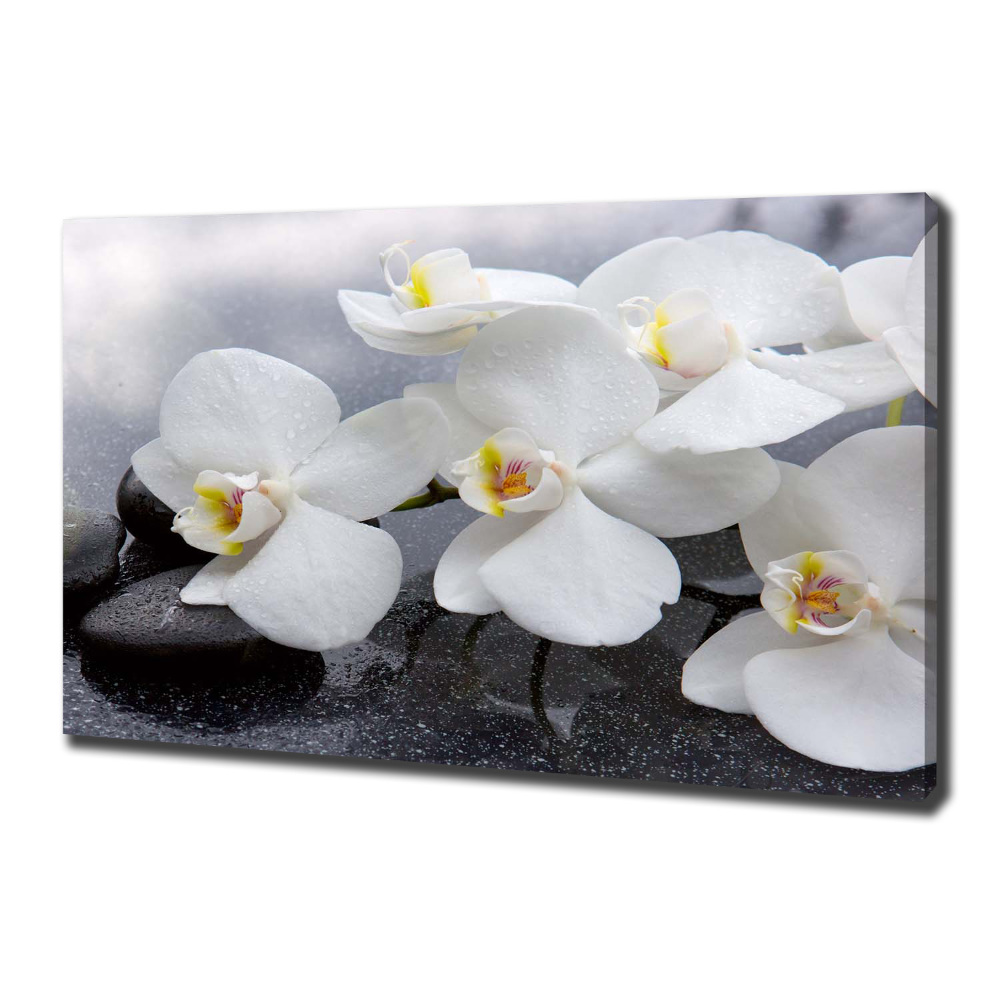 Canvas wall art Orchid