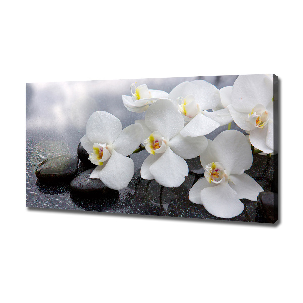 Canvas wall art Orchid