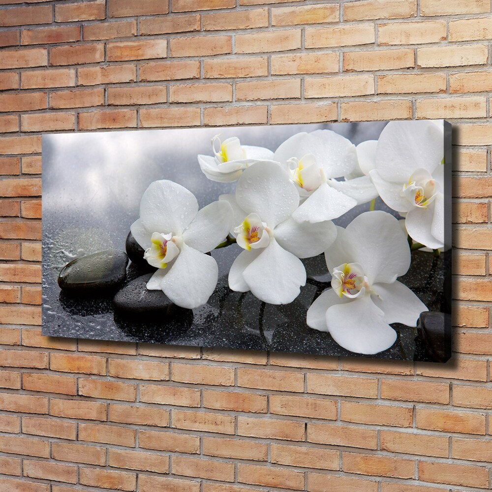 Canvas wall art Orchid