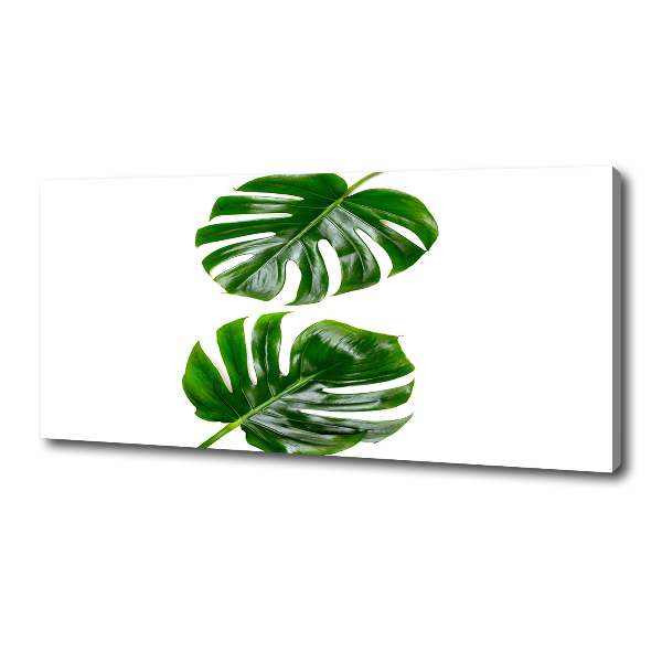 Canvas wall art Tropical leaves