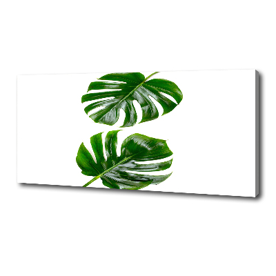 Canvas wall art Tropical leaves