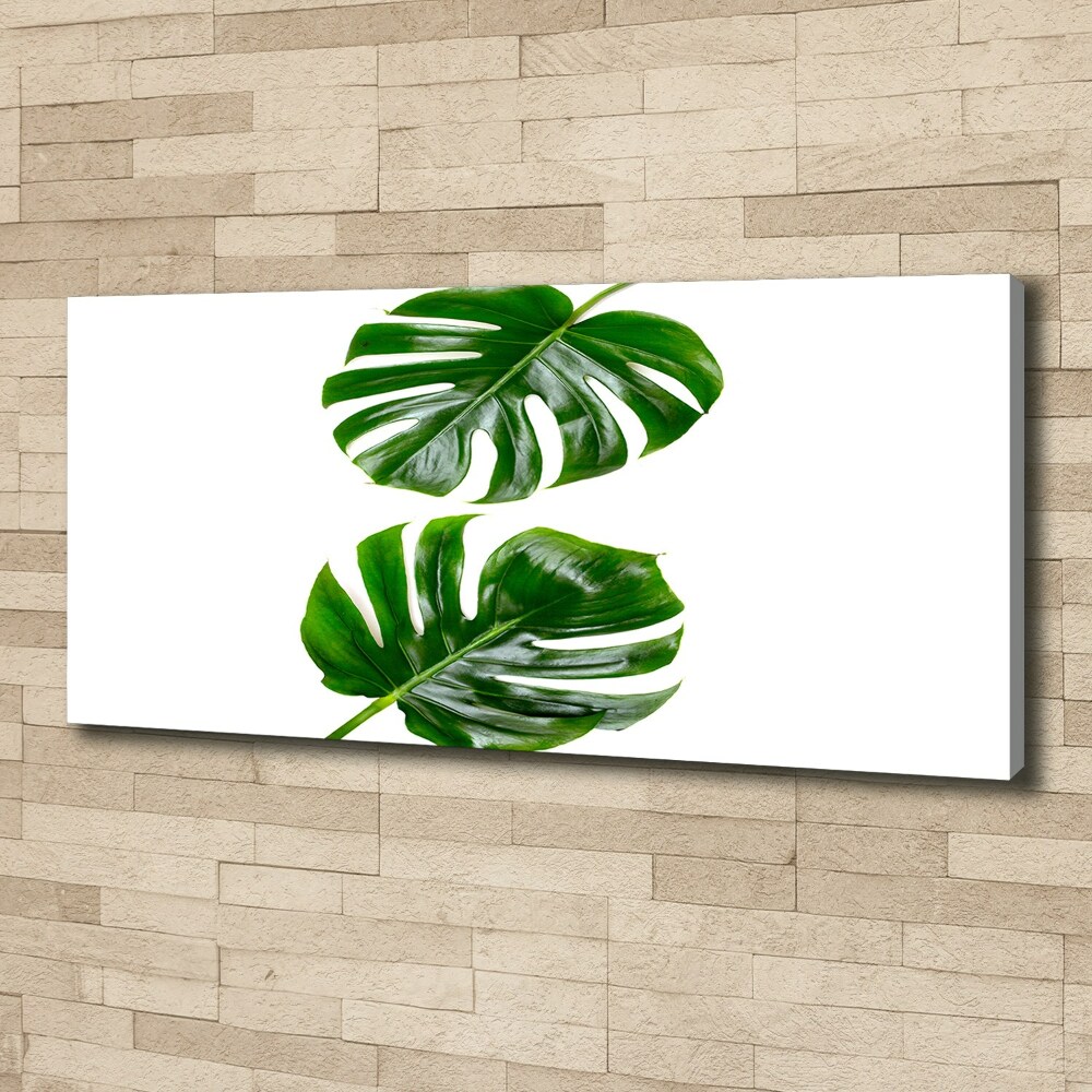 Canvas wall art Tropical leaves