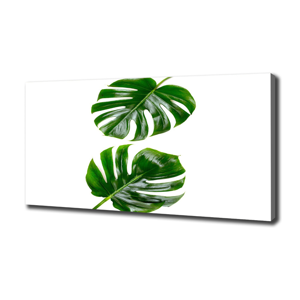 Canvas wall art Tropical leaves