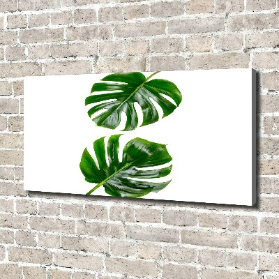 Canvas wall art Tropical leaves