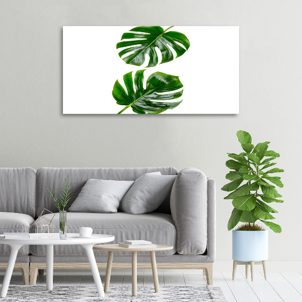 Canvas wall art Tropical leaves