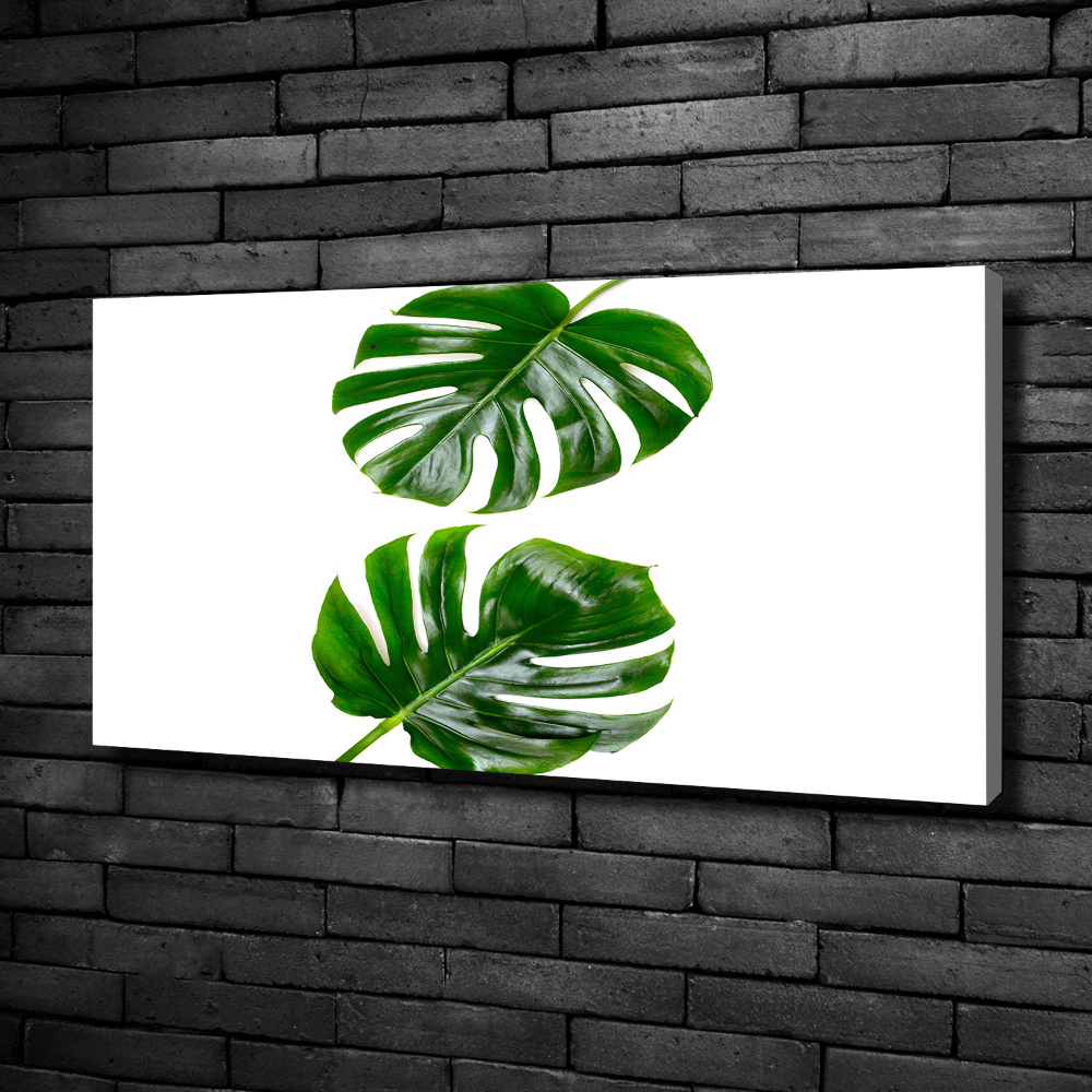 Canvas wall art Tropical leaves