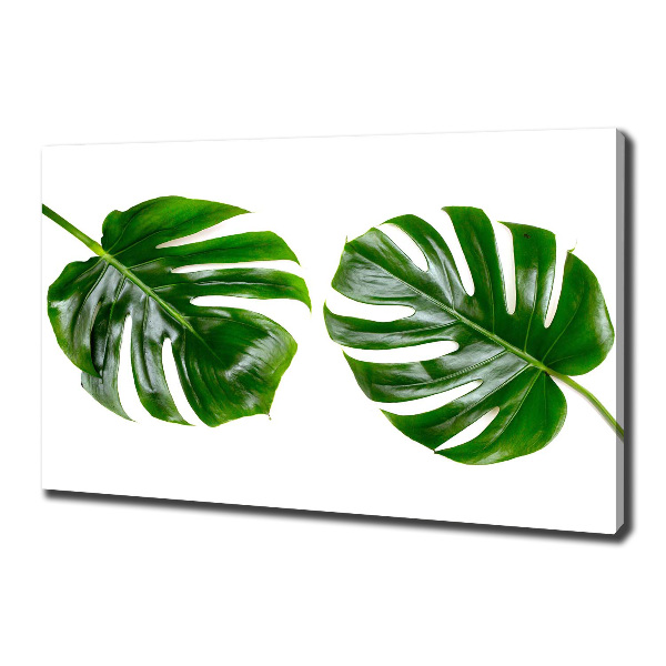 Canvas wall art Tropical leaves