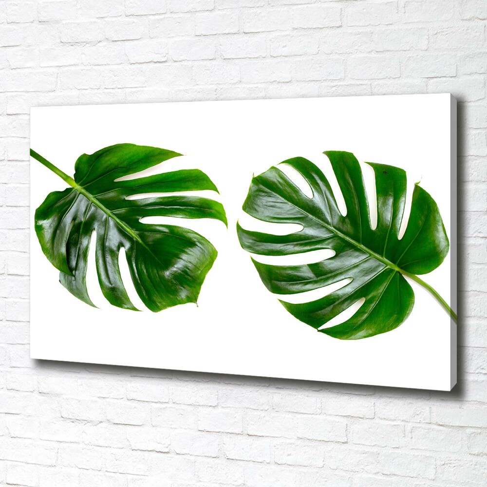 Canvas wall art Tropical leaves