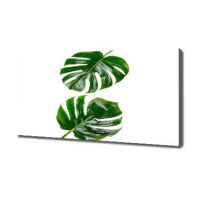 Canvas wall art Tropical leaves