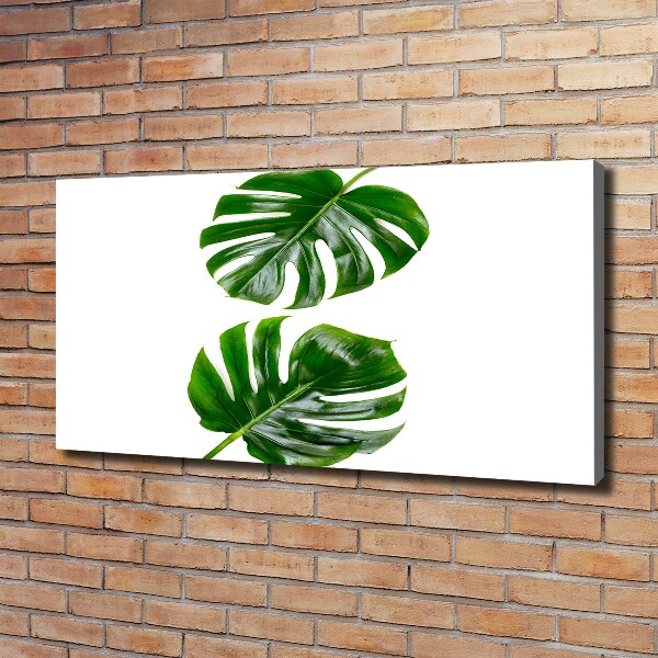 Canvas wall art Tropical leaves